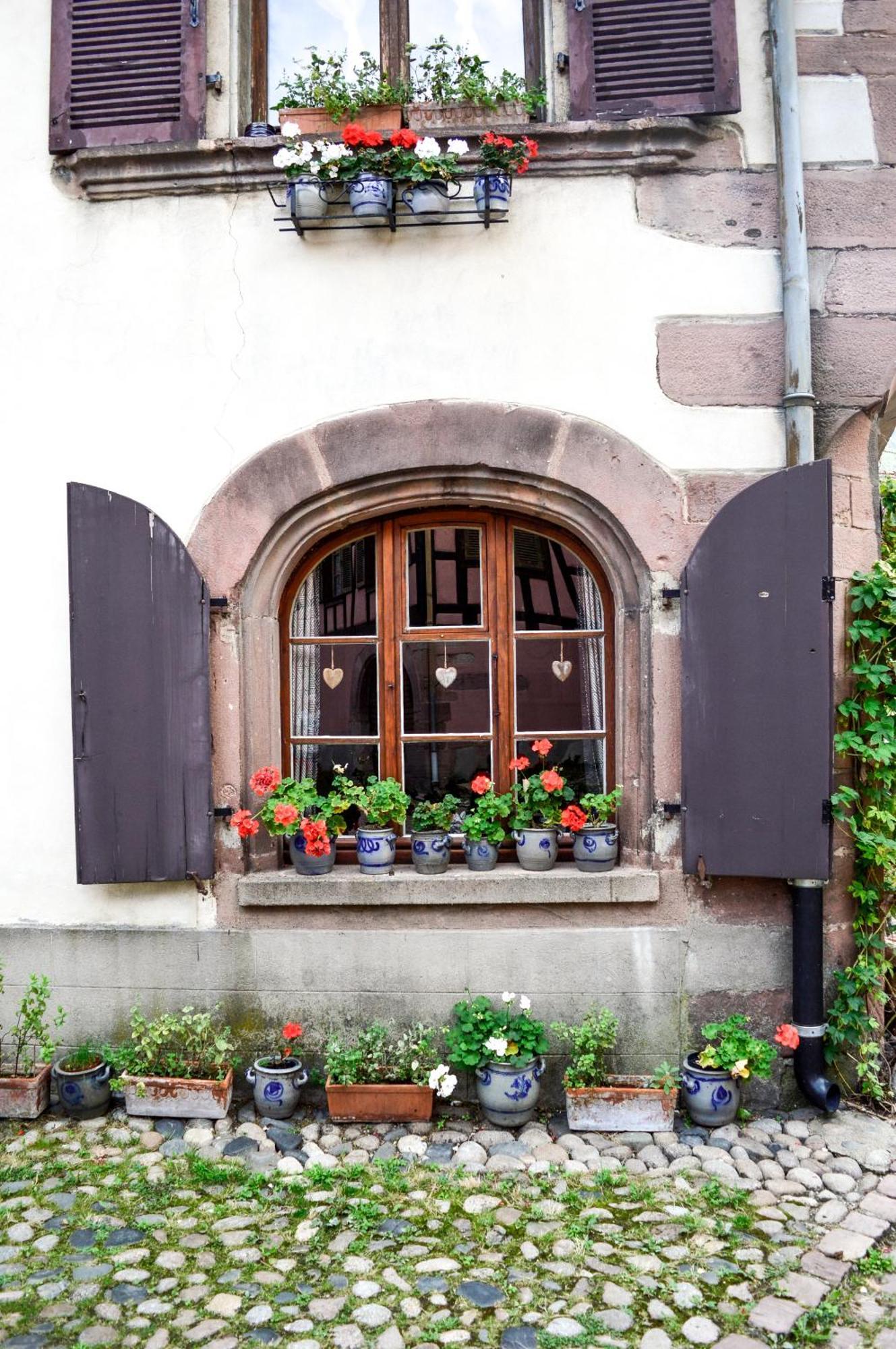 Ferienwohnung Chaud'Vin Kaysersberg-Vignoble Exterior foto