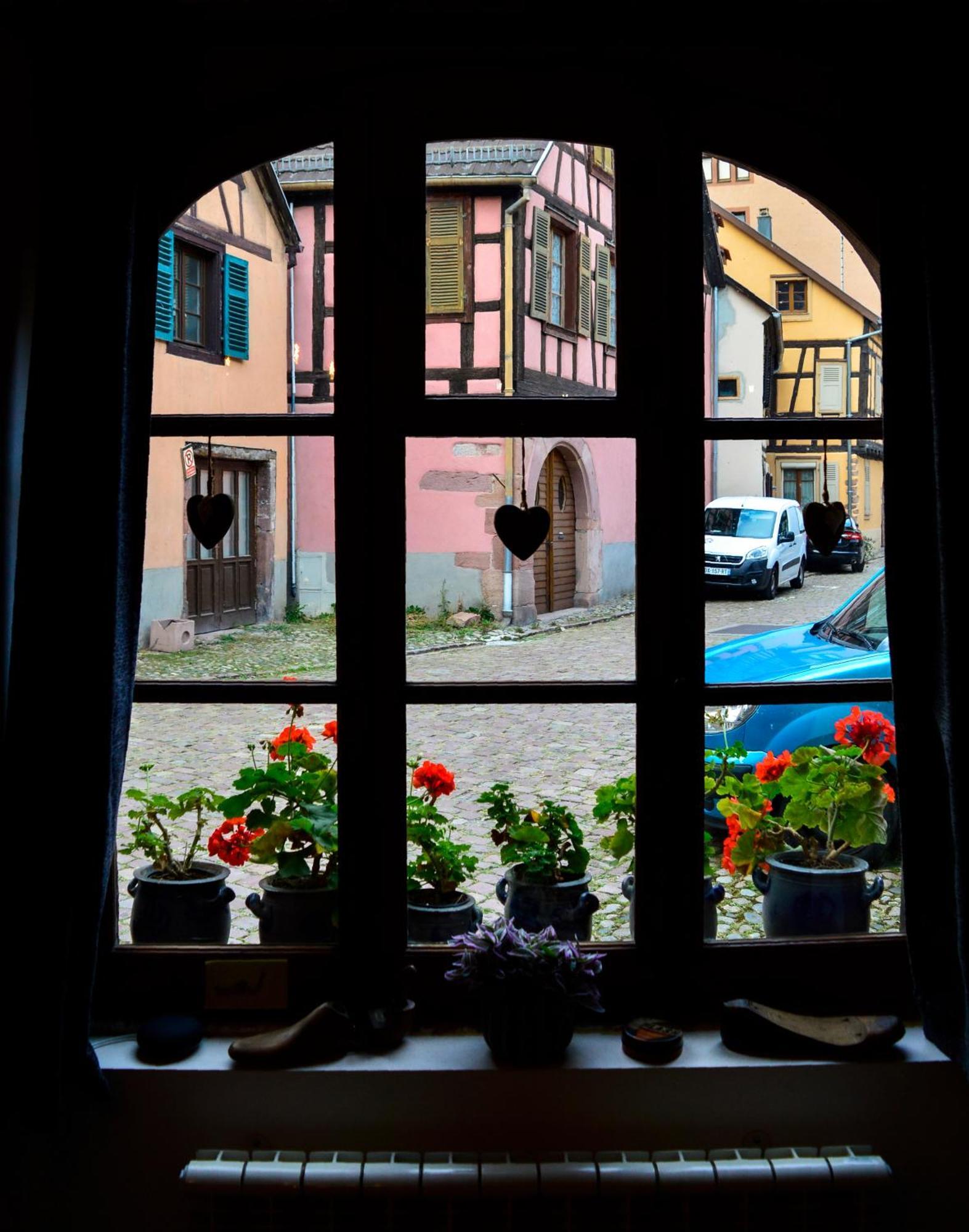 Ferienwohnung Chaud'Vin Kaysersberg-Vignoble Exterior foto